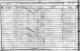 John Davidson and Agnes Reid Family in the 1851 census